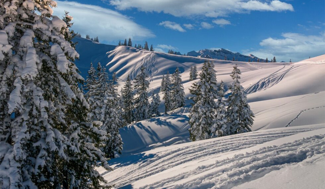 Fit, gesund und aufgestellt durch den Winter