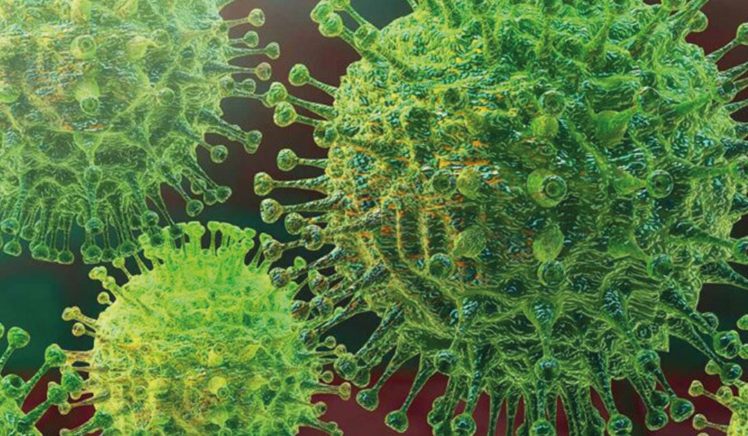 Dem Coronavirus ein starkes Immunsystem entgegenstellen