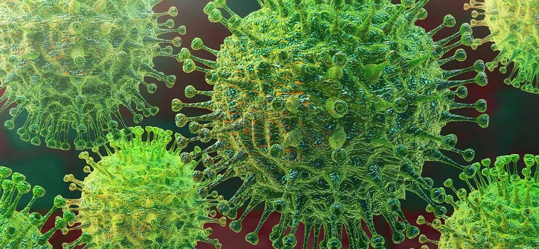 Dem Coronavirus ein starkes Immunsystem entgegenstellen